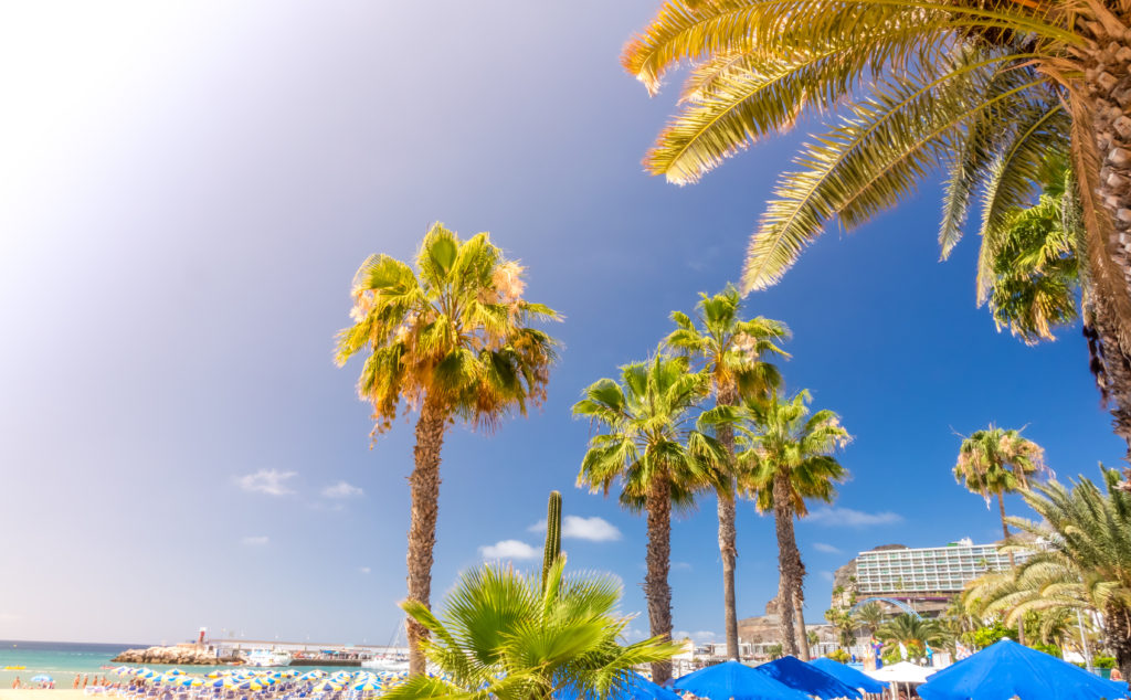 De 10 fantastische dingen om te doen en zien op Gran Canaria De 10 fantastische dingen om te doen en zien op Gran Canaria